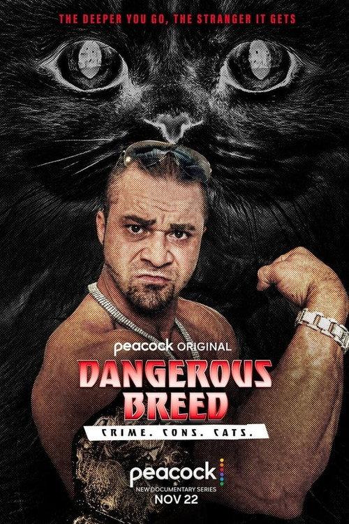 Dangerous Breed: Crime. Cons. Cats. 2022 official movie poster
