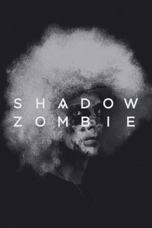 Shadow Zombie 2013 official movie poster
