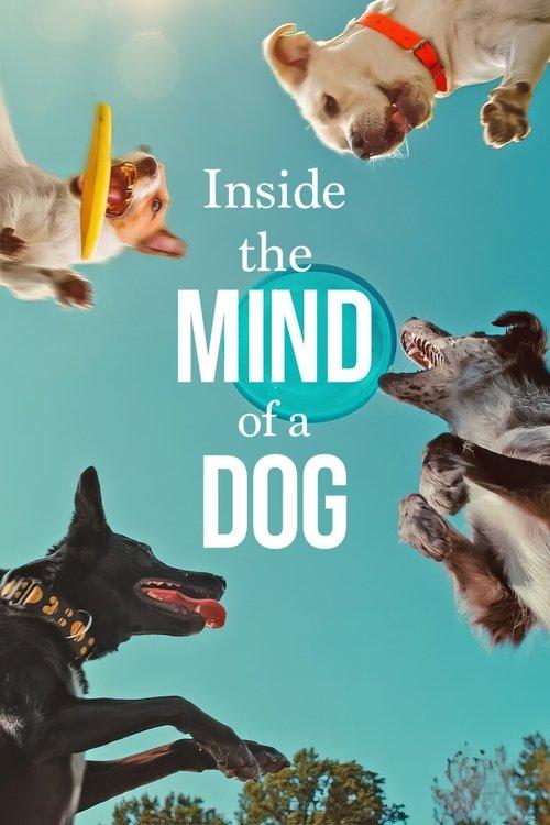Inside the Mind of a Dog 2024 official movie poster