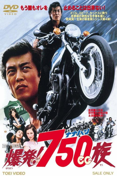 Hell Riders 1976 official movie poster