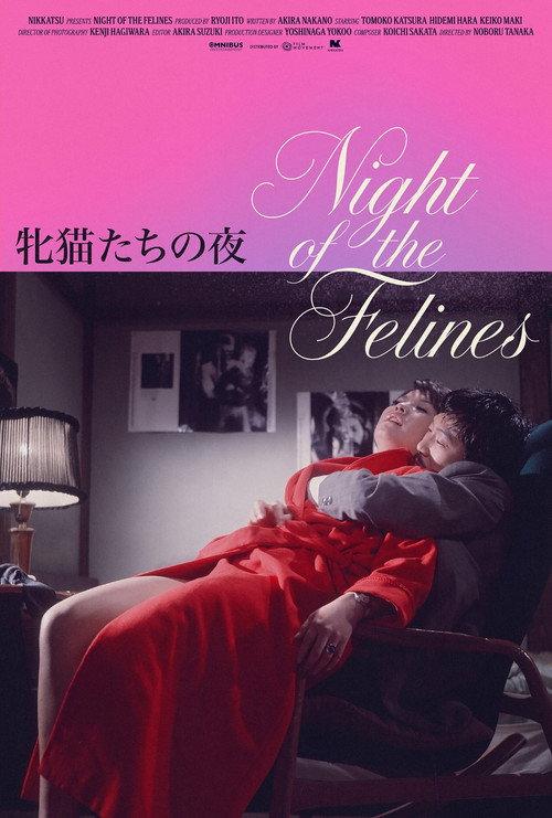 Night of the Felines 1972 official movie poster