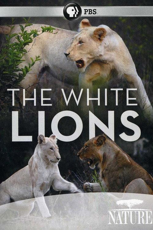 The White Lions 2012 official movie poster