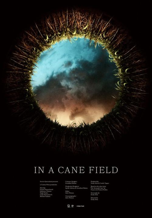 In a Cane Field 2016 official movie poster
