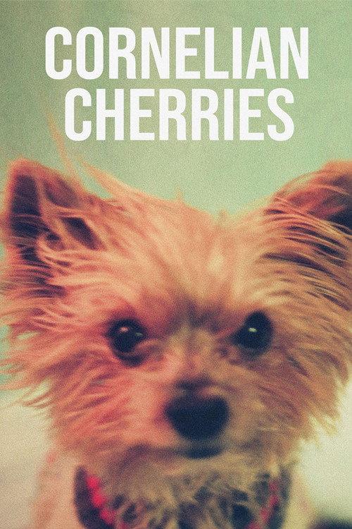 Cornelian Cherries 2020 official movie poster