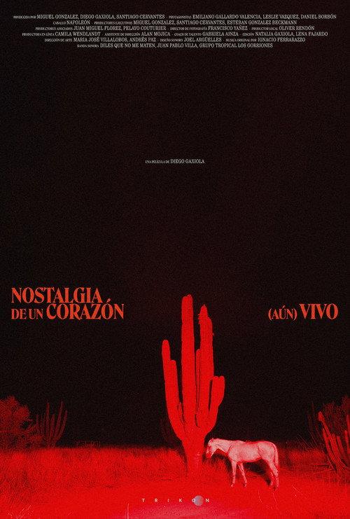 Nostalgia of a (Still) Alive Heart 2024 official movie poster