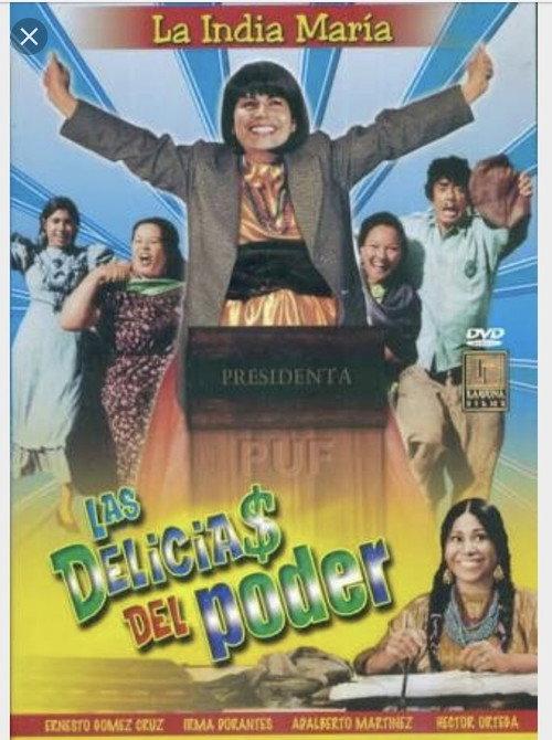 The Delights of Power 1999 official movie poster