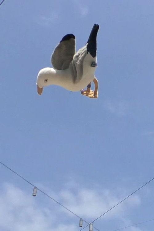Double Jump 2024 official movie poster