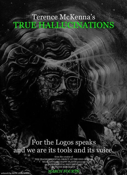 Terence McKenna's True Hallucinations 2016 official movie poster