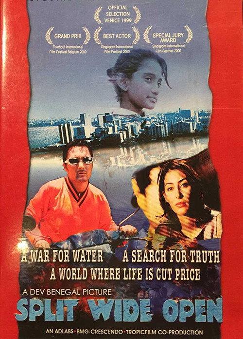 Split Wide Open 1999 official movie poster
