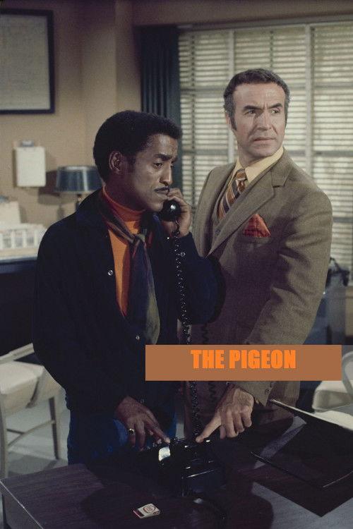 The Pigeon 1969 official movie poster