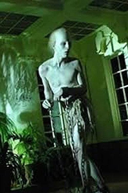 Coffins of Light 2009 official movie poster
