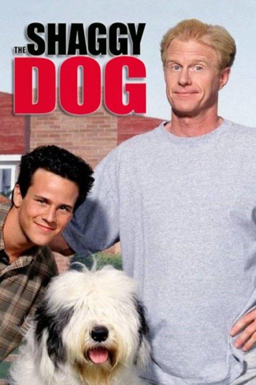 The Shaggy Dog 1994 official movie poster