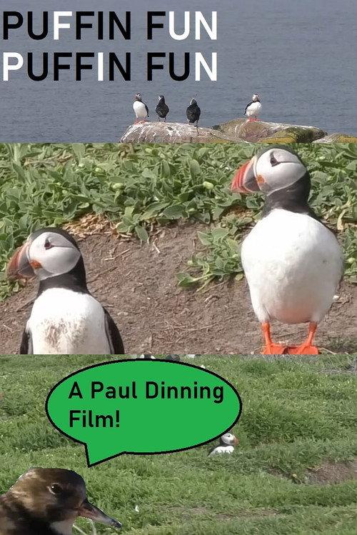Puffin Fun 2024 official movie poster