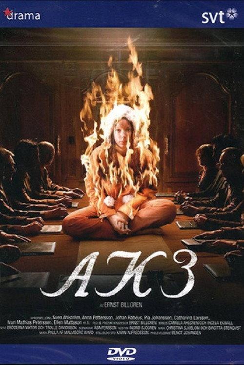 AK3 - Dolda beslut 2006 official movie poster
