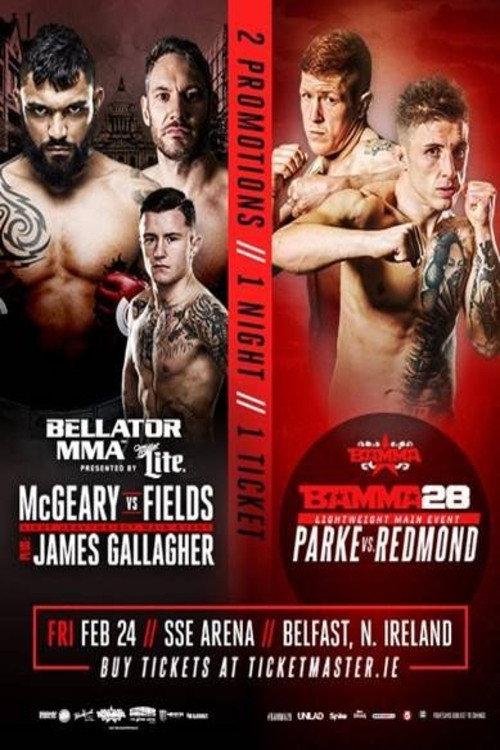 Bellator 173: McGeary vs. McDermott 2017 official movie poster