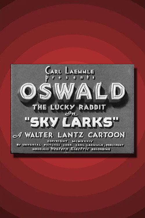 Sky Larks 1934 official movie poster