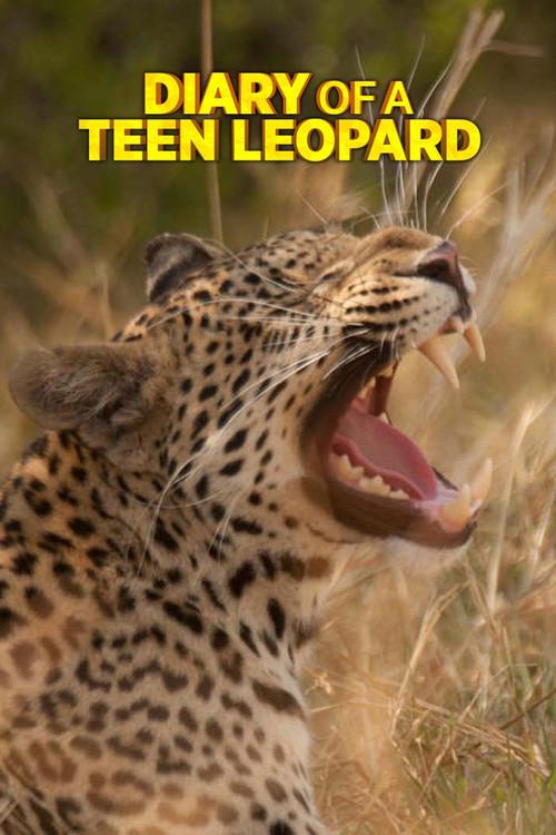 Diary of a Teen Leopard 2020 official movie poster