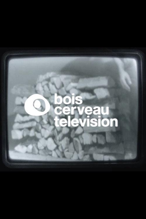 BOIS CERVEAU TV (1) 2020 official movie poster