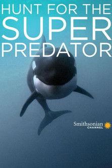 The Search for the Ocean's Super Predator 2014 official movie poster