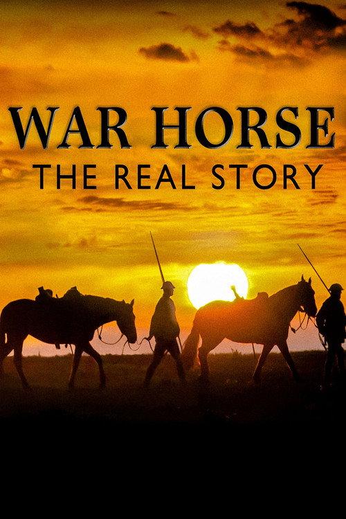War Horse: The Real Story 2012 official movie poster