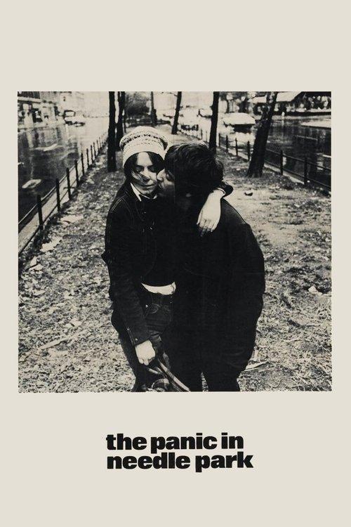 The Panic in Needle Park 1971 official movie poster