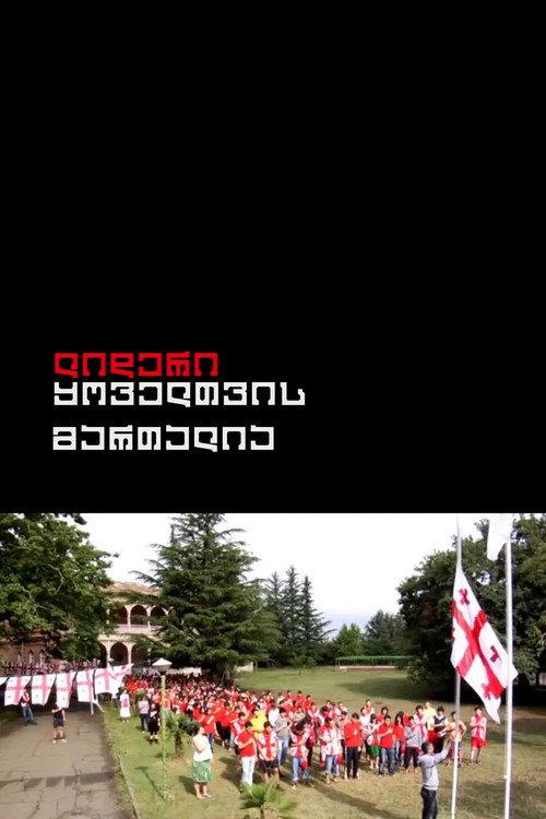 The Leader is Always Right 2010 official movie poster