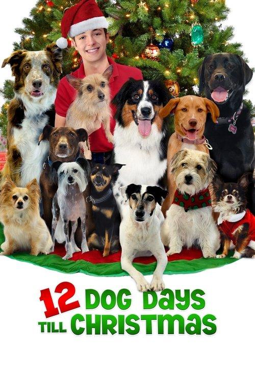 12 Dog Days Till Christmas 2014 official movie poster