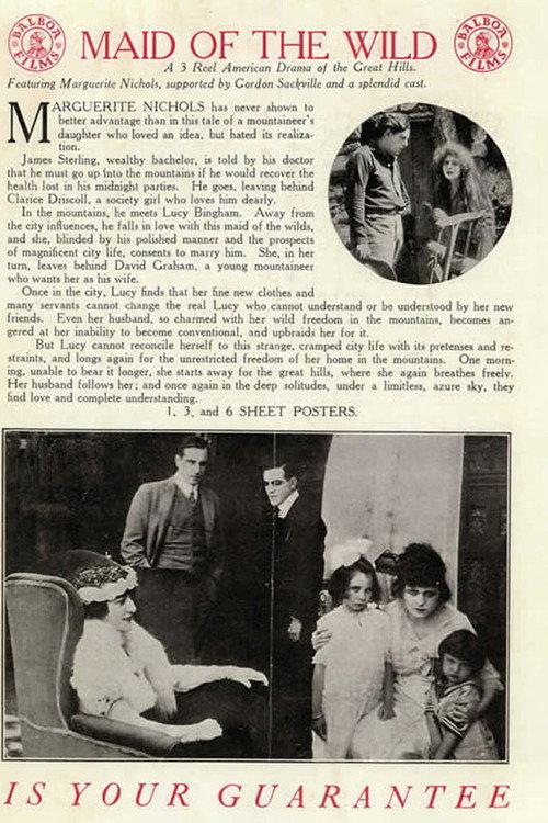 The Maid of the Wild 1915 official movie poster