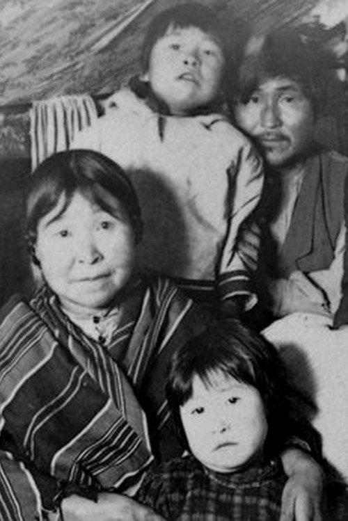 Labrador North 1973 official movie poster