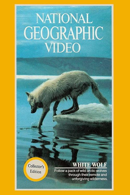 National Geographic: White Wolf 1988 official movie poster