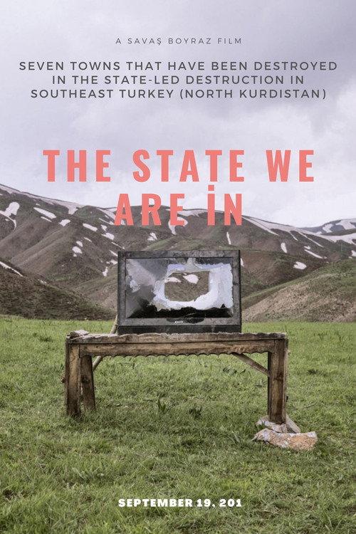 The State We Are İn 2019 official movie poster