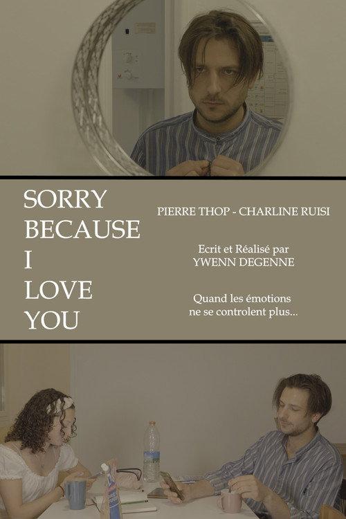 Sorry Because I Love You 2024 official movie poster