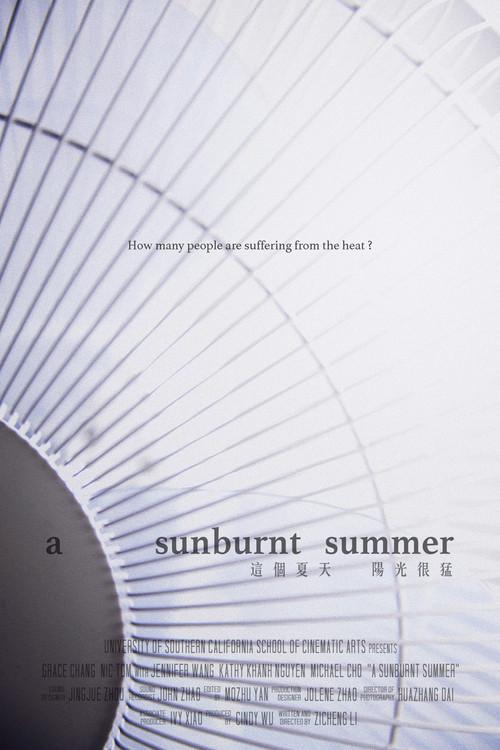 A Sunburnt Summer 2013 official movie poster