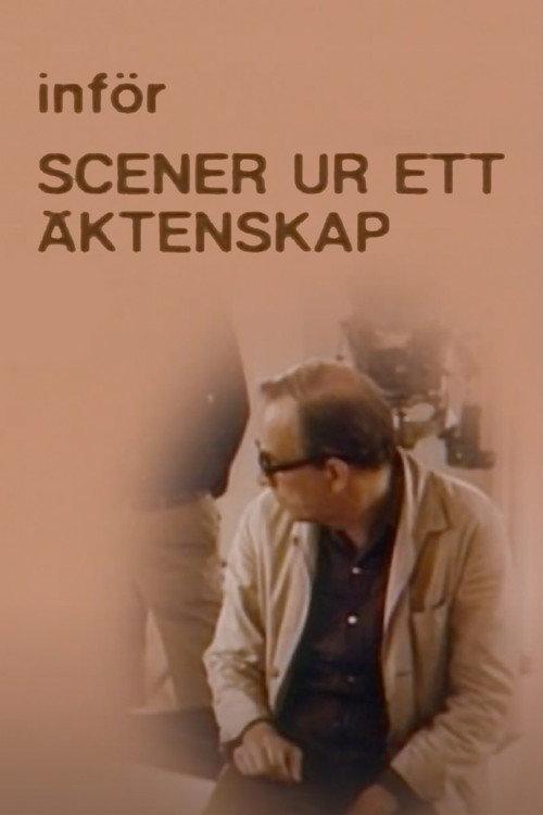 Introducing 'Scenes from a Marriage' 1986 official movie poster