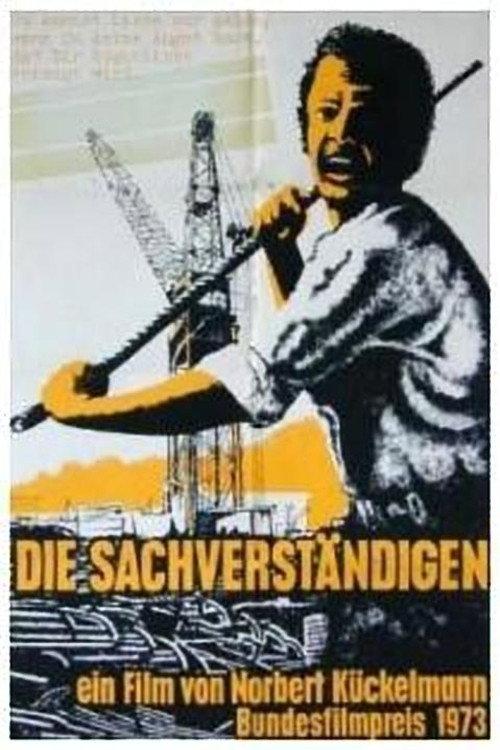 The Experts 1973 official movie poster