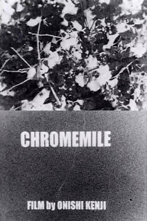 Chromemile 2009 official movie poster