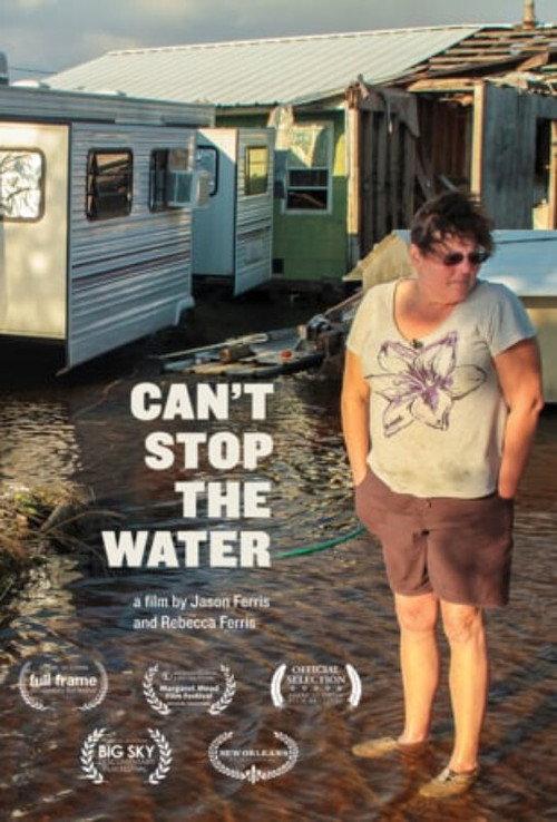 Can't Stop the Water 2013 official movie poster