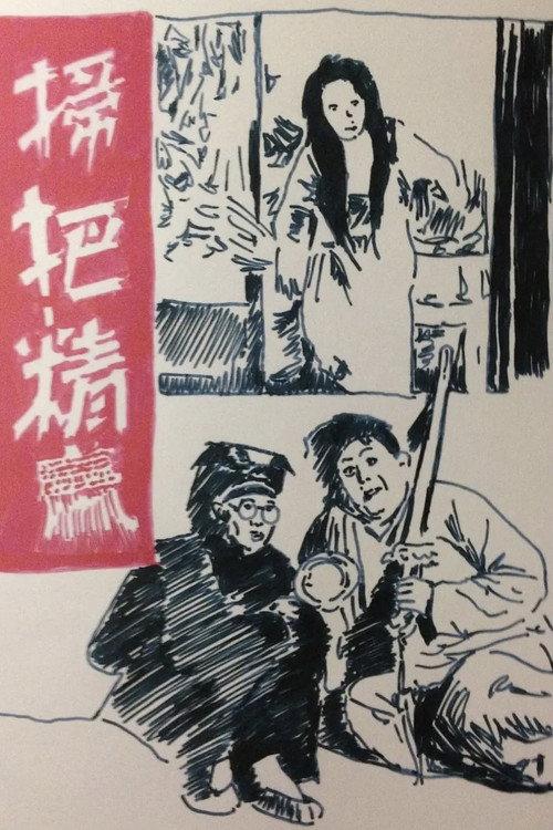 Spirit of the Broom 1939 official movie poster