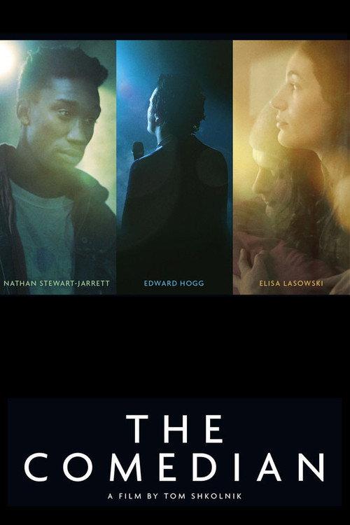 The Comedian 2012 official movie poster