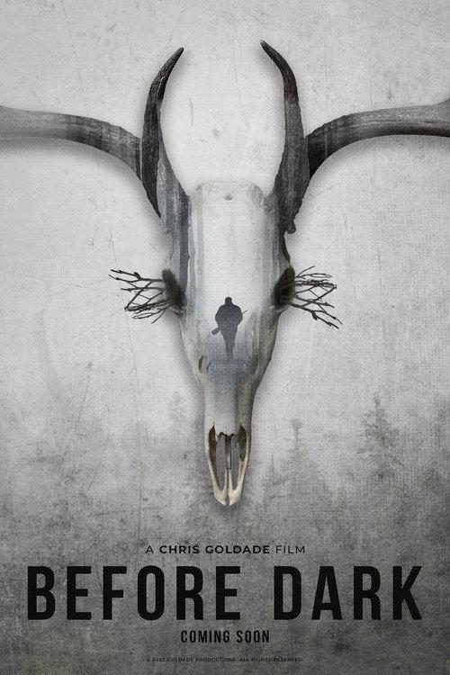 Before Dark 2023 official movie poster