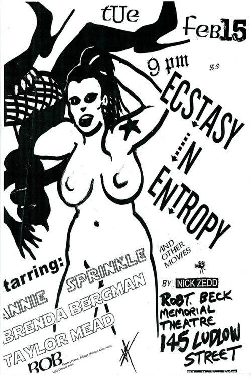 Ecstasy in Entropy 1999 official movie poster