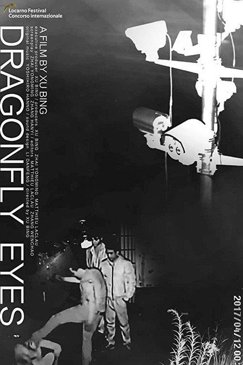 Dragonfly Eyes 2017 official movie poster