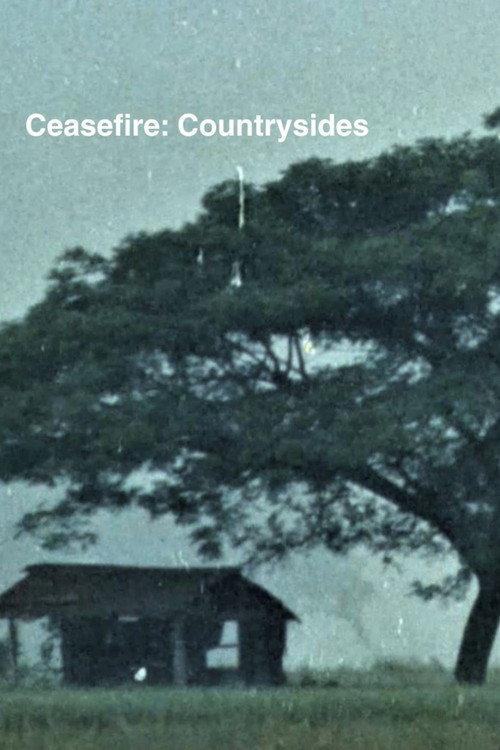 Ceasefire: Countrysides 1986 official movie poster