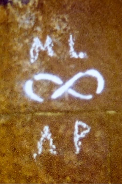 ML-AP 2021 official movie poster