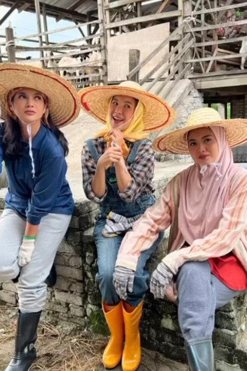 Suri Rumah Terfeeling 2022 official movie poster