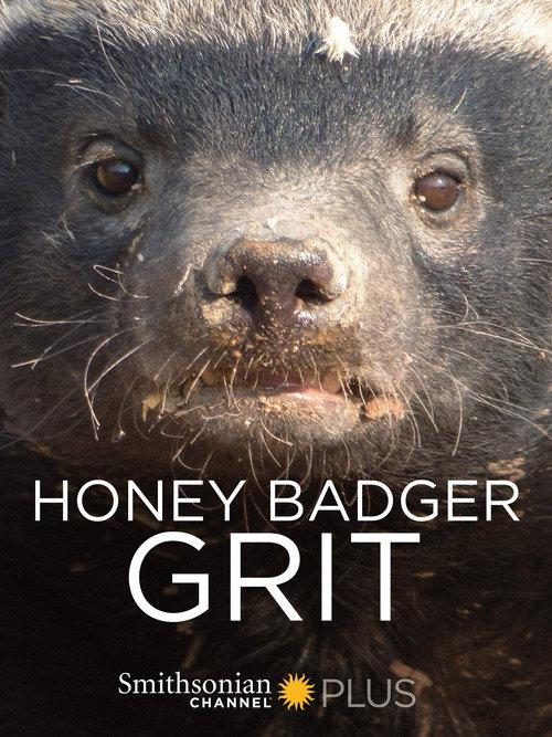 Honey Badger: Grit 2018 official movie poster