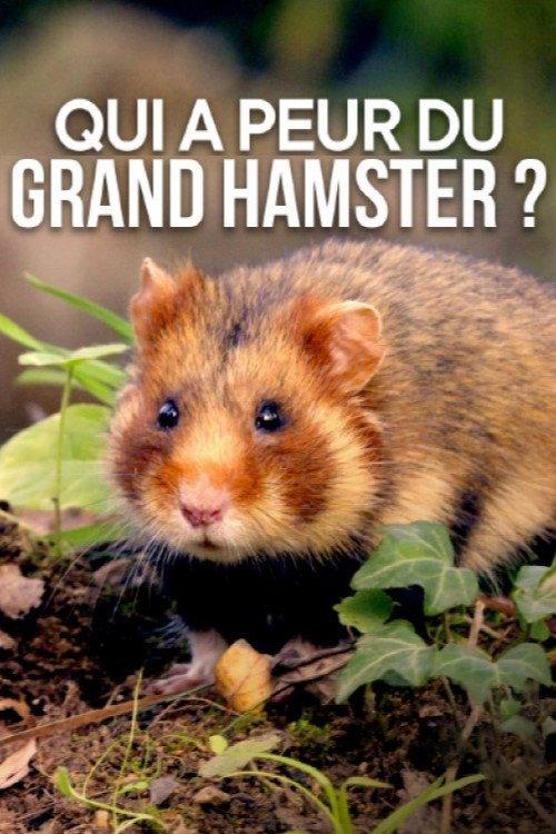 Qui a peur du grand hamster ? 2020 official movie poster