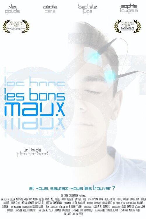Les bons maux  official movie poster