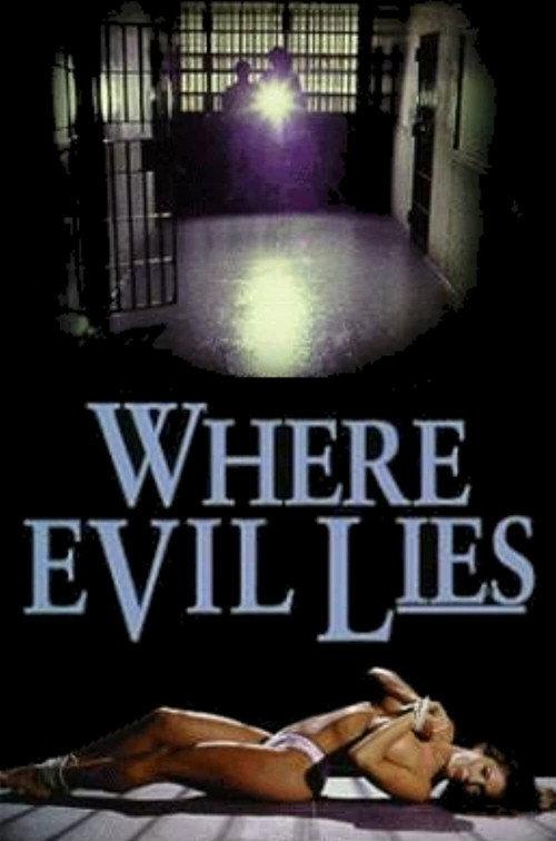 Where Evil Lies 1995 official movie poster