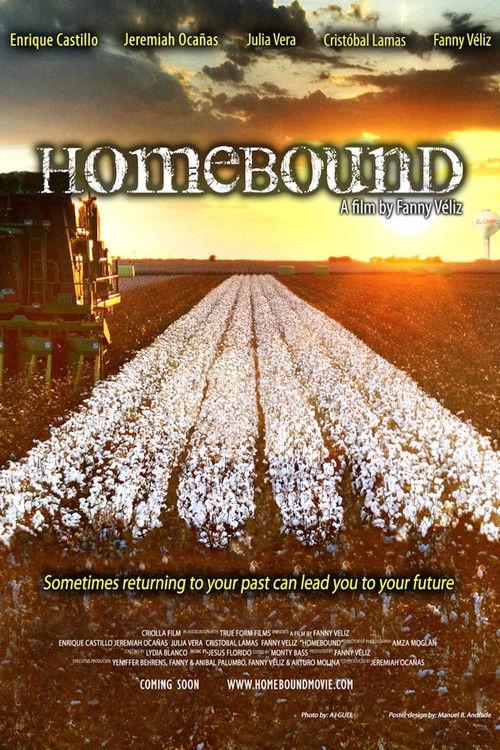 Homebound 2013 official movie poster